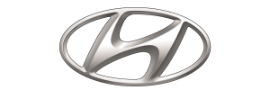 Hyundai Возрождение Орел