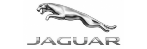 Альбион-Моторс Jaguar Новосибирск